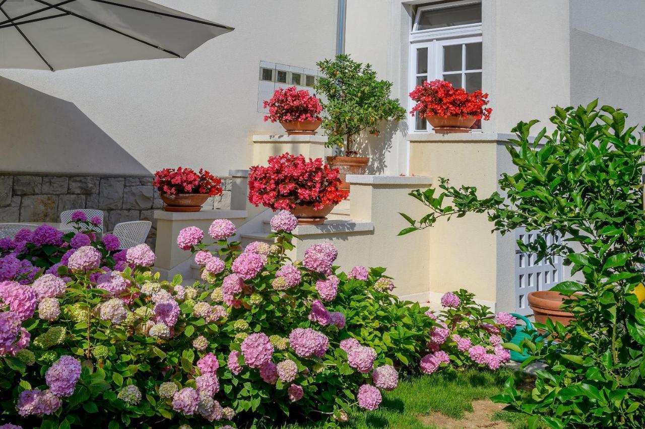 Palace Schoen Milesi - Esense Of Prestige - Private Pool - Free Parking - Old Money Style Luxury Rooms - Walking Distance To The Old Town, The Beach And All Amenities - Buralux Properties Spalato Esterno foto